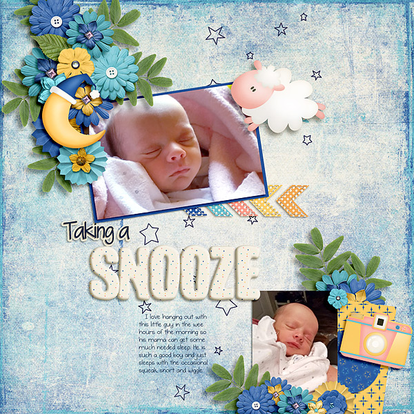 Taking a Snooze