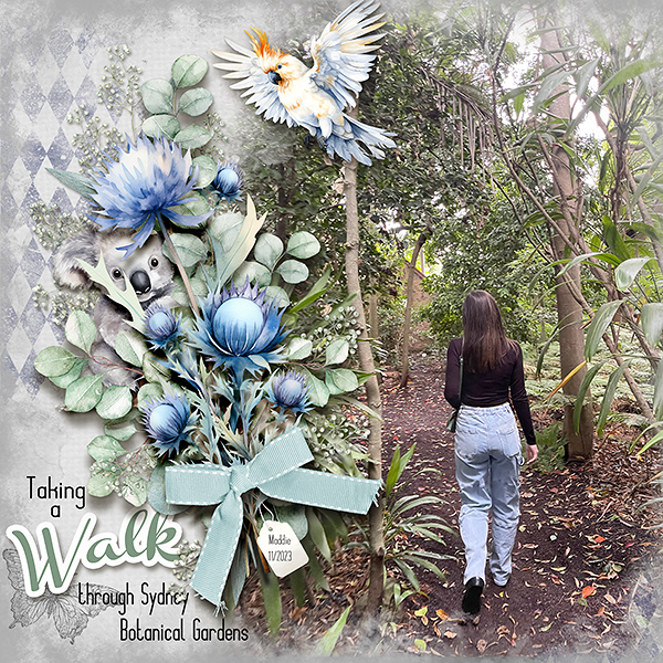 Taking a Walk