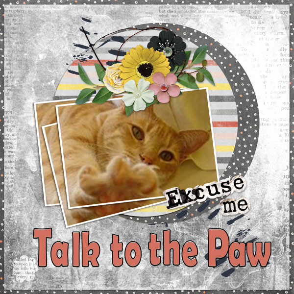 Talk to the Paw