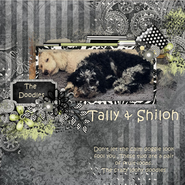 Tally + Shiloh