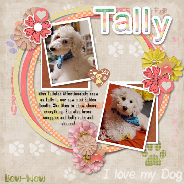 Tally