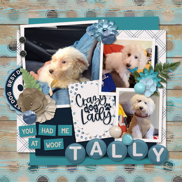 Tally