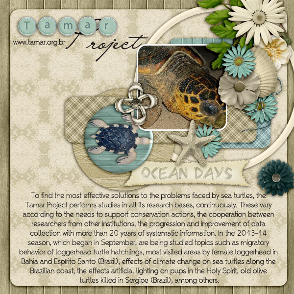 Tamar Project