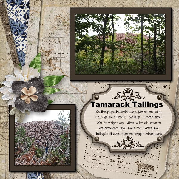 Tamarack Tailings