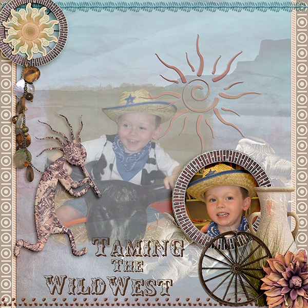 Taming The Wild West