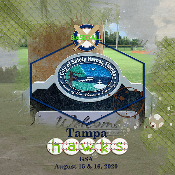 Tampa Hawks 2020