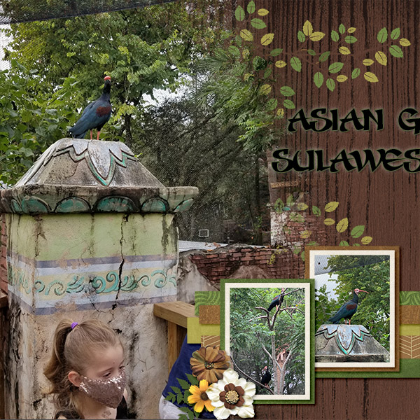 Tampa Zoo Aviary