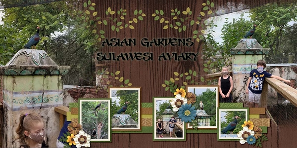 Tampa Zoo Aviary