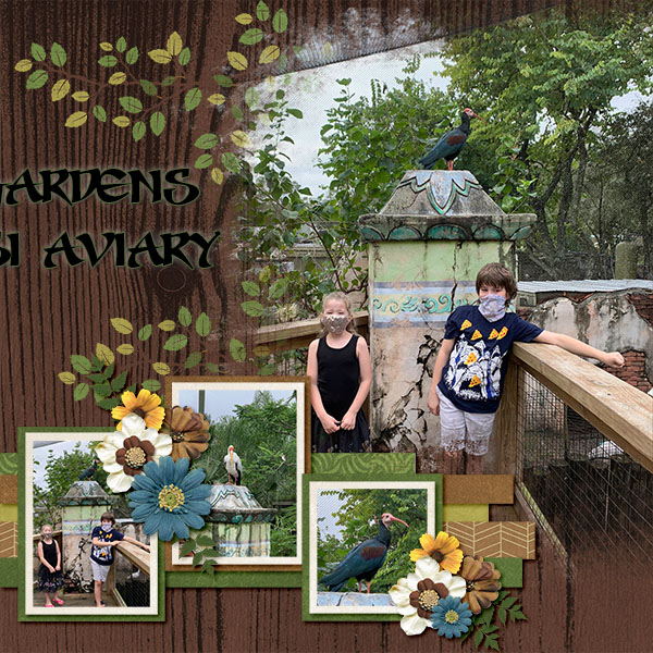 Tampa Zoo Aviary
