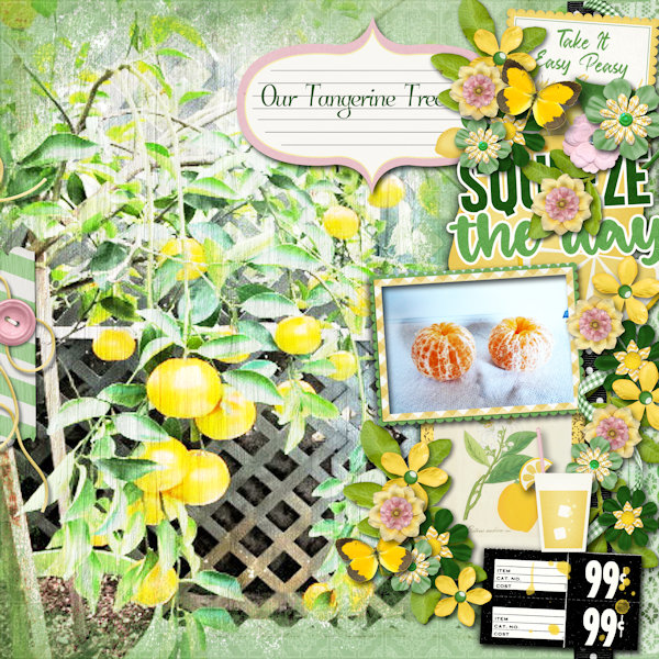 Tangerine Tree