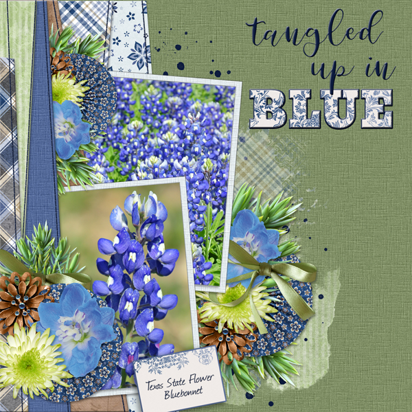 Tangled up in BLUE  (Bob Dylan quote)