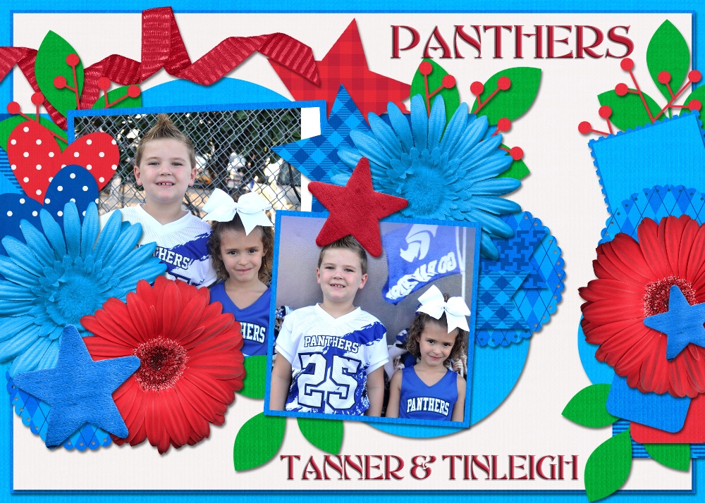 Tanner and Tinleigh QSA