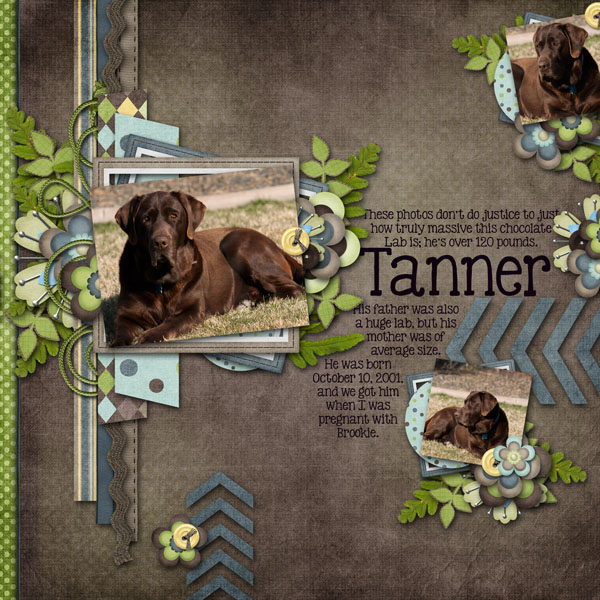 Tanner