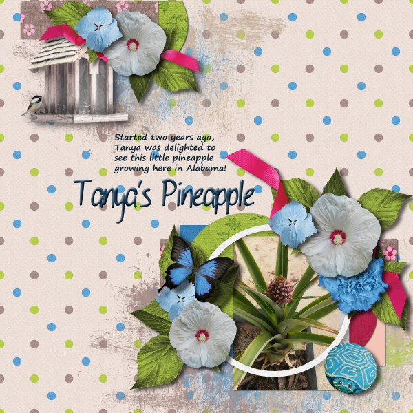 Tanya's Pineapple