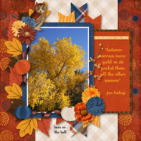 Taos In The Fall