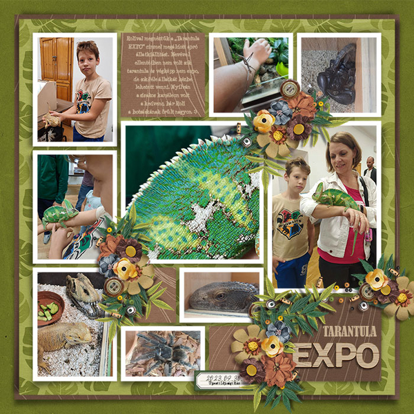 Tarantula Expo