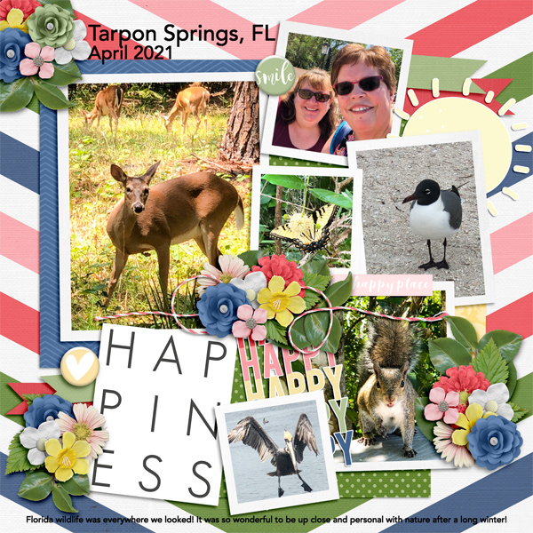 Tarpon Wildlife