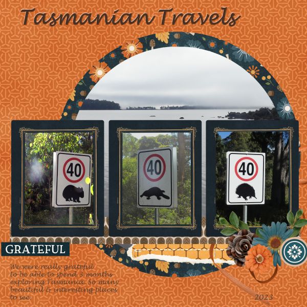 Tasmanian Travels