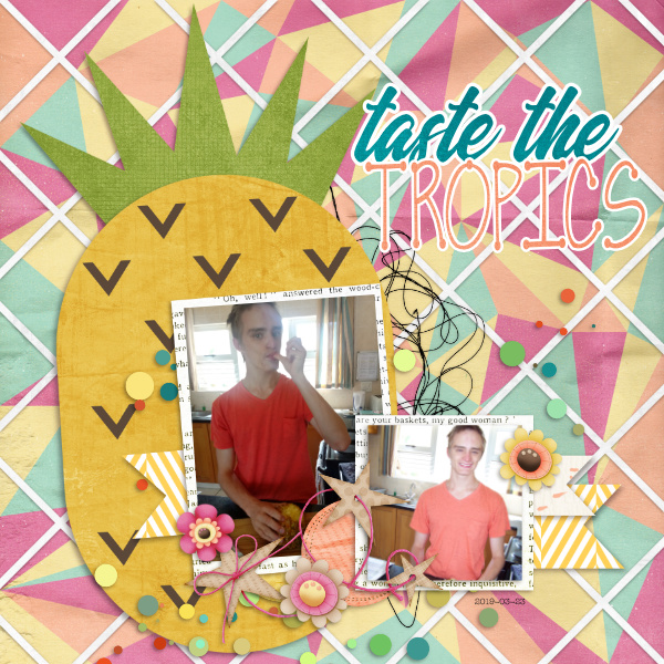 Taste The Tropics