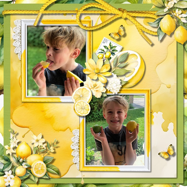 Tasting Lemons