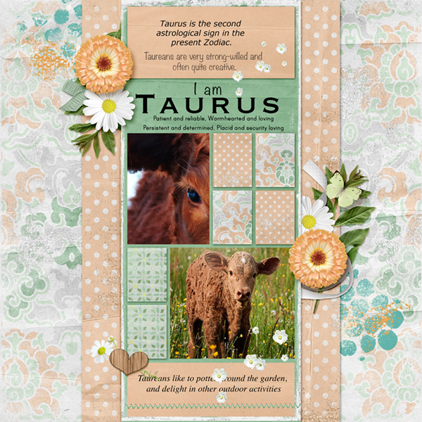 Taurus