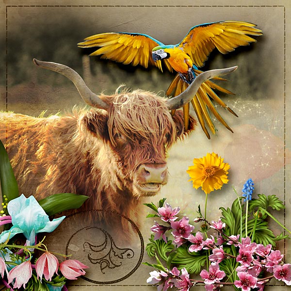 Taurus