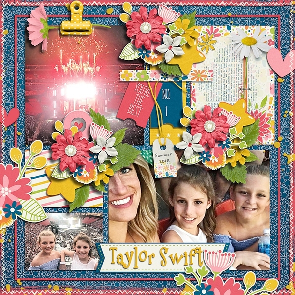 Taylor Swift concert