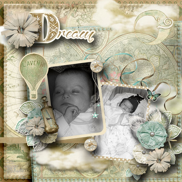 Taylor the Dreamer