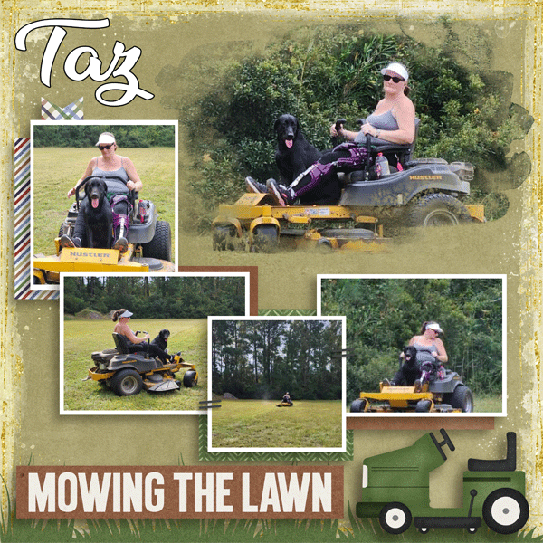Taz-Mowing-Lawn