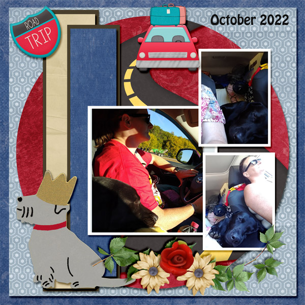 Taz Road Trip