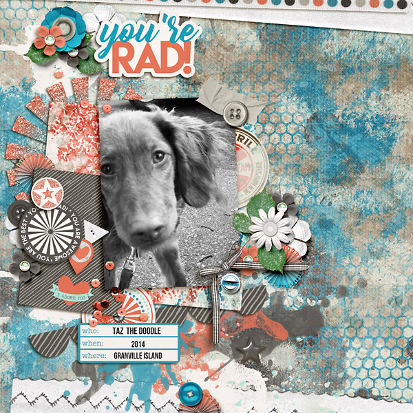 Taz The Doodle