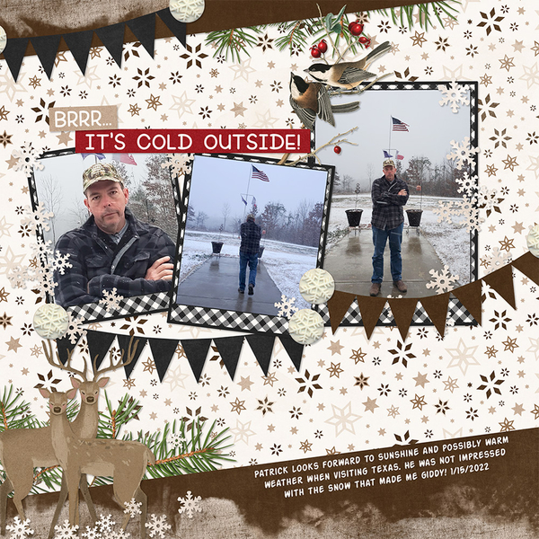 TB-kit-Winter-Woods--Temp-Banner-Play-Vol-17-2