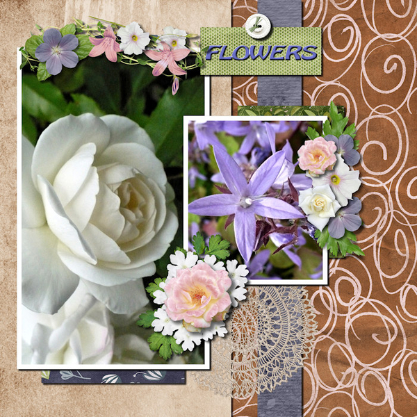 TC2-Sept-Flowers