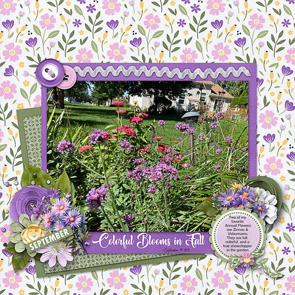 TColorful Blooms in September