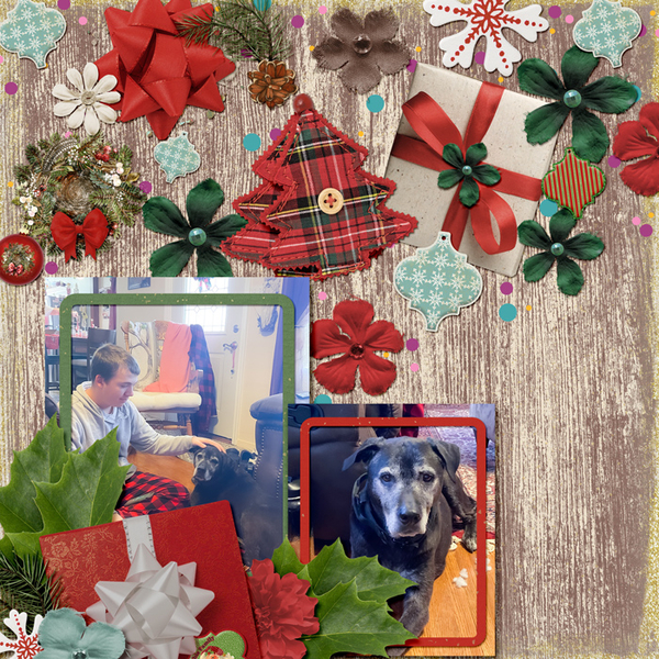 tcot-shapesnsizes-countryxmas