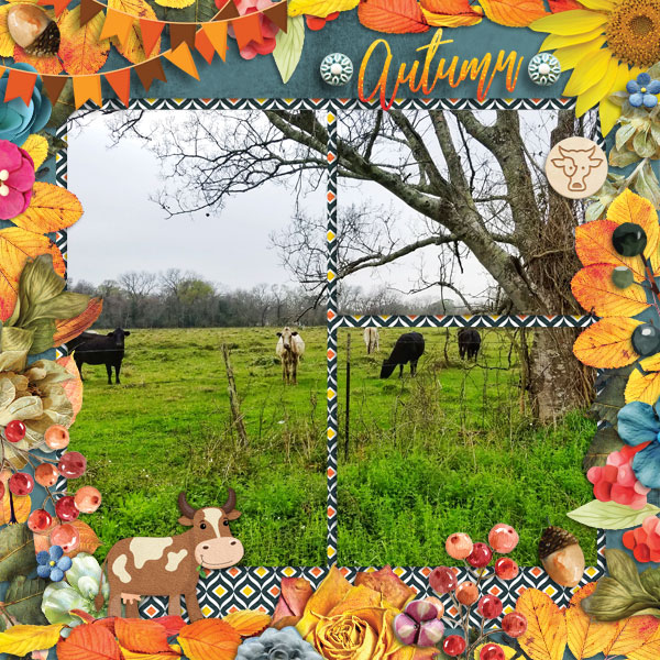 tcot_prettypatterns_cmg_700