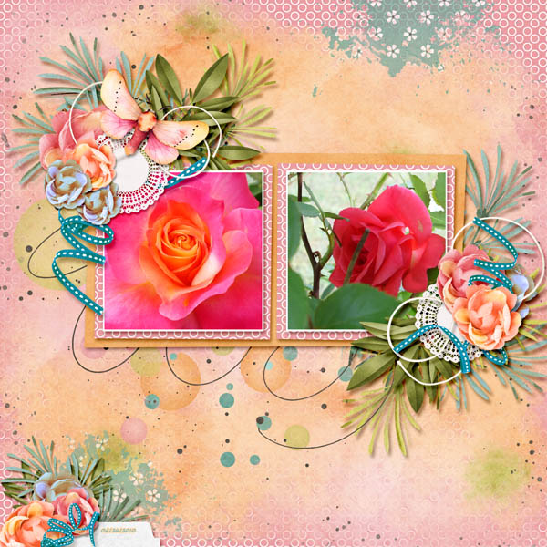 Tea Roses