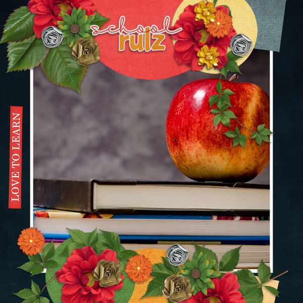 Teachers Apple
