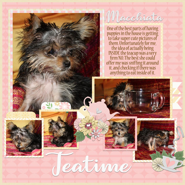 Teatime with Miss Macchiata