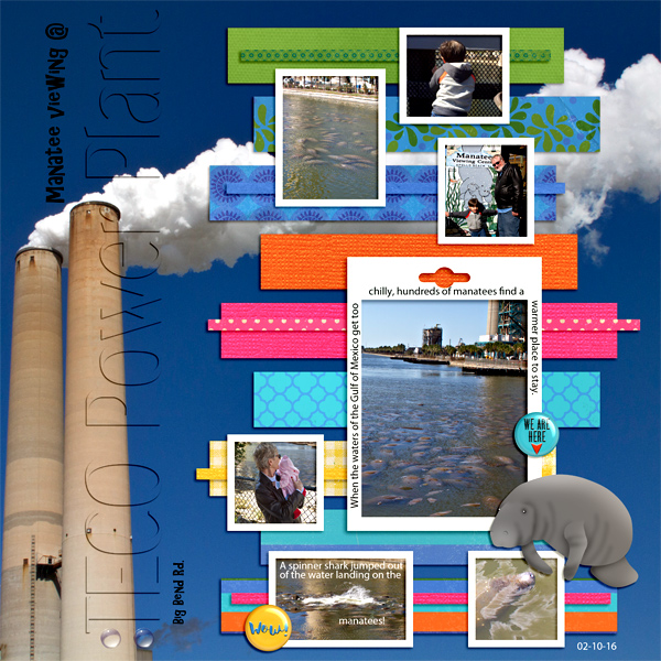 TECO Power Plant- Manatee viewing