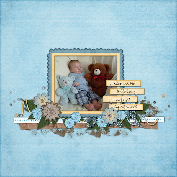 Teddy Bears