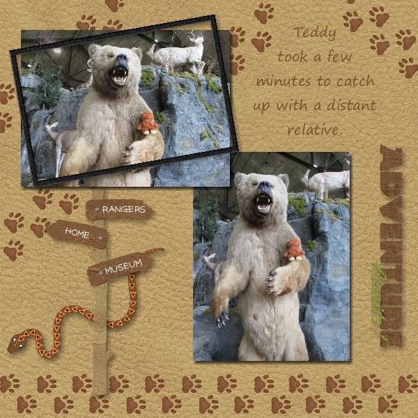 Teddy