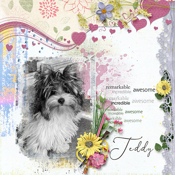 Teddy