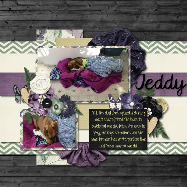 Teddy