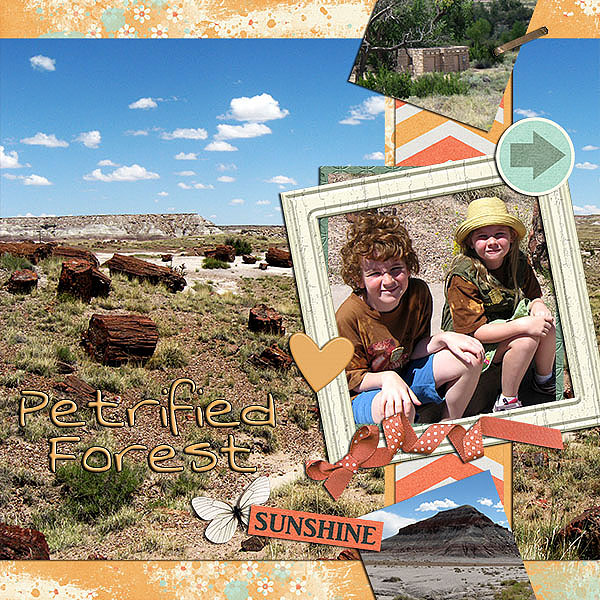 template 1 2013-08 Petrified Forest
