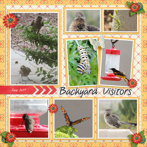 Template 1 chall-Backyard visitors