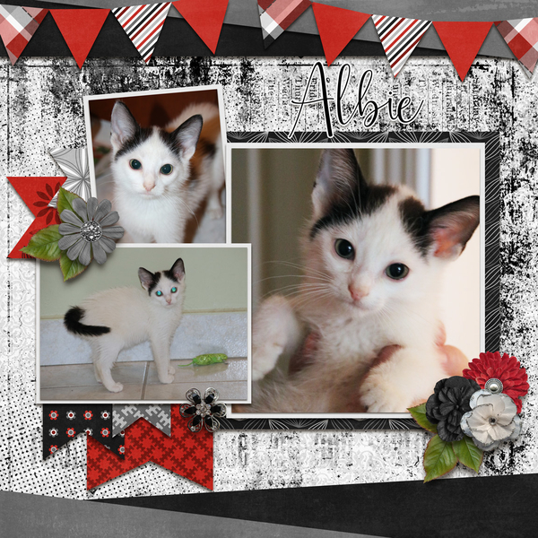 Template Bundle Feb 2020 - Love Birds