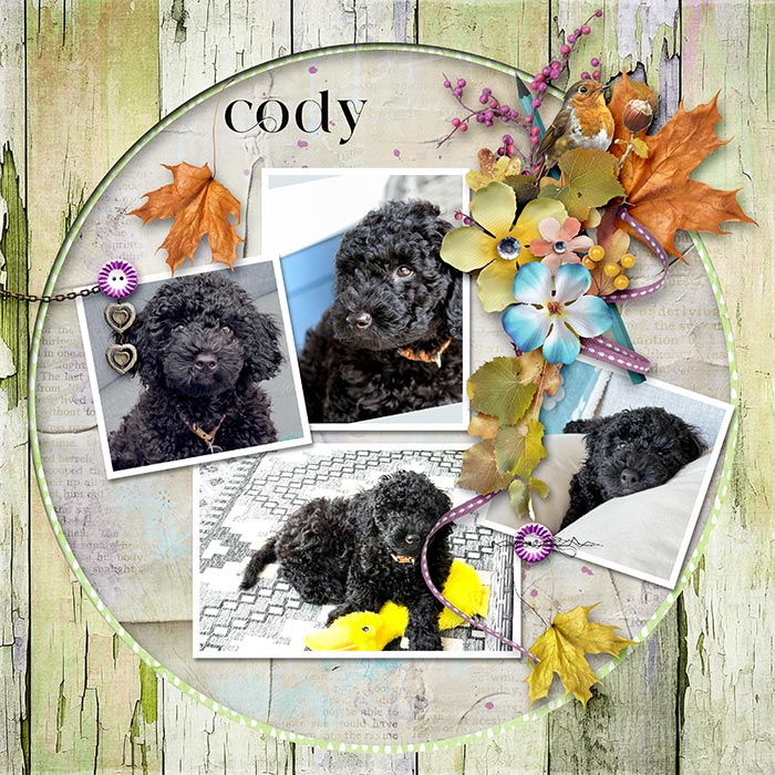 Template-chall-by-scrapbookcrazy Sep 2025