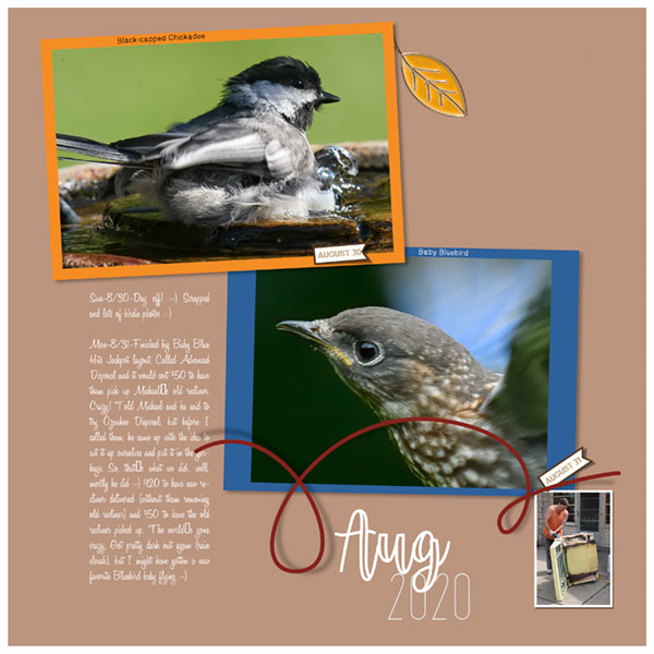 Template Challenge 1 2020-08-31-week-left-side