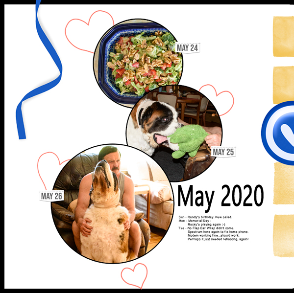Template Challenge 2 Shepherd Studio